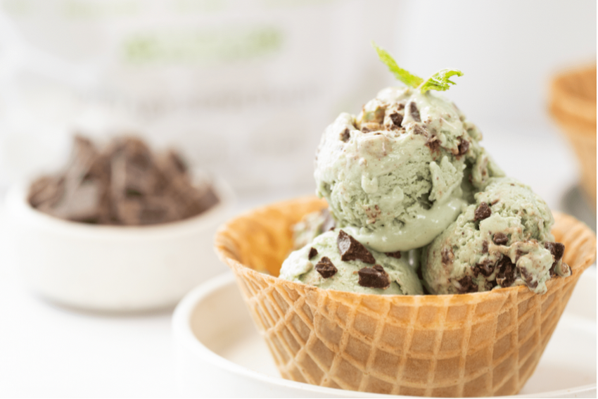 Mint Chocolate Chip Protein Ice Cream